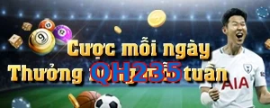 QH235